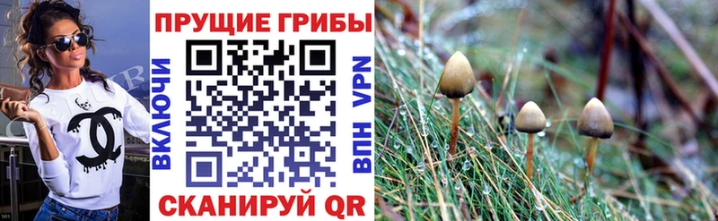 купить kraken ССЫЛКА Галлюциногенные грибы прущие грибы Елабуга